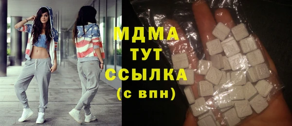 гашик Алексин