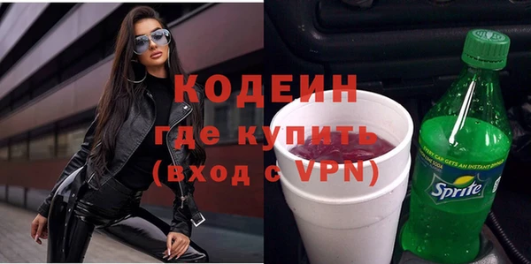 гашик Алексин