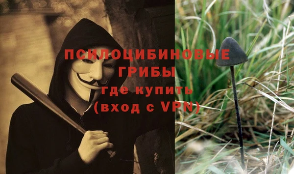 apvp Алзамай