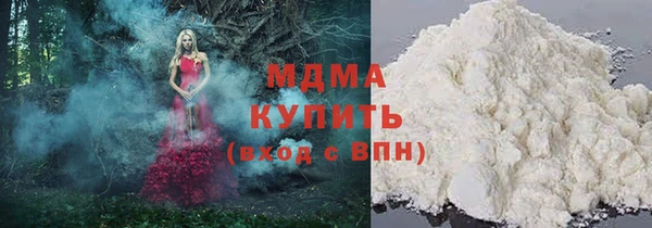 гашик Алексин