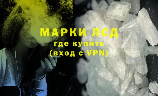 гашик Алексин