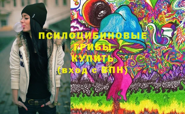 гашик Алексин