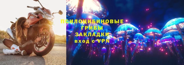 гашик Алексин
