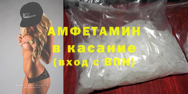 гашик Алексин