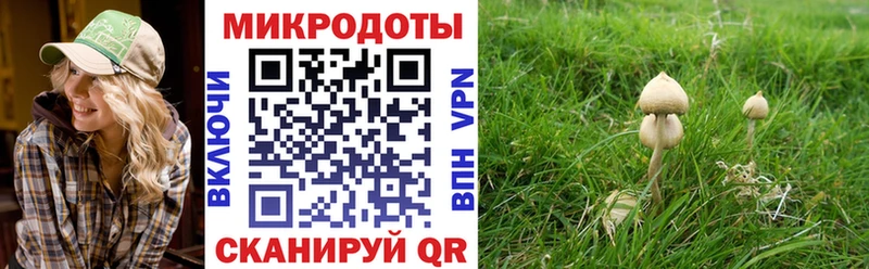 Псилоцибиновые грибы мухоморы  кракен онион  Пустошка 
